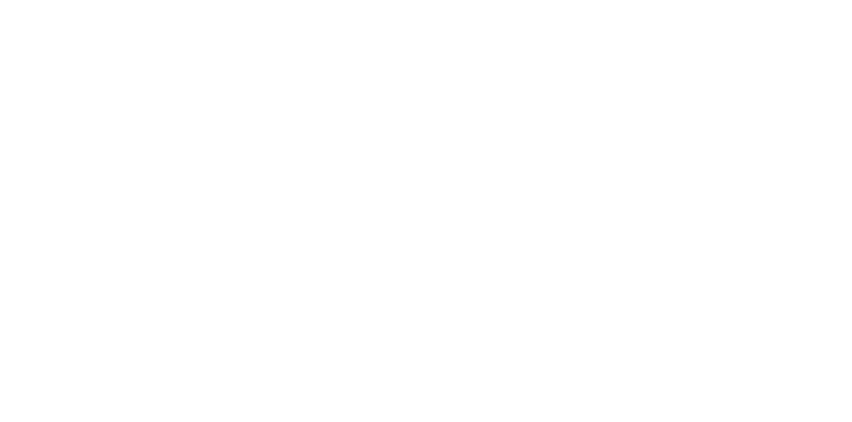 Steele Wheels Logo